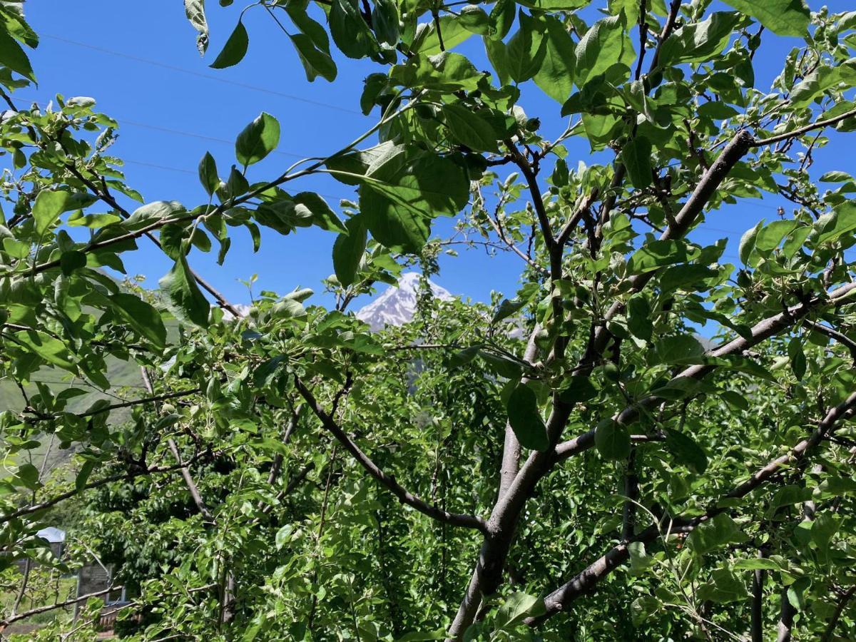 Geo Inn Kazbegi Luaran gambar